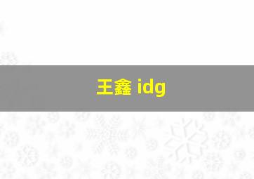 王鑫 idg